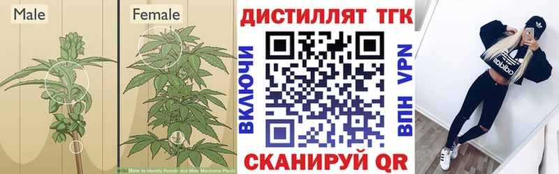 как найти   Усть-Илимск  ТГК Wax 