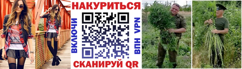 площадка официальный сайт  Усть-Илимск  Конопля конопля 
